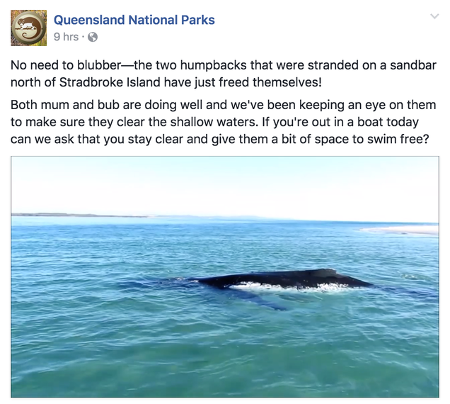 From the Queensland National Parks Facebook page.